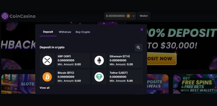 Deposit of funds Vklad prostředků