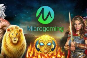 Die besten Microgaming Casinos & Slots [cur_year]