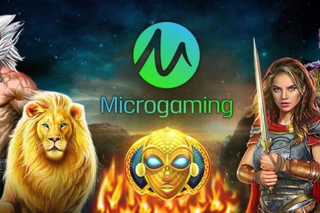 Microgaming Titelblatt