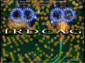 Birdcage Rezension Image 1