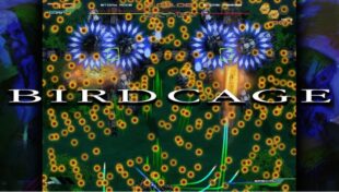 Birdcage Rezension Image 1