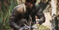 Metal Gear Solid Delta: Snake Eater tiene reseñas positivas