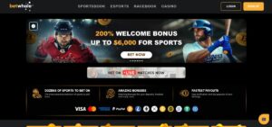 betwhale una casa de apuestas deportivas en florida con transmisiones en vivo