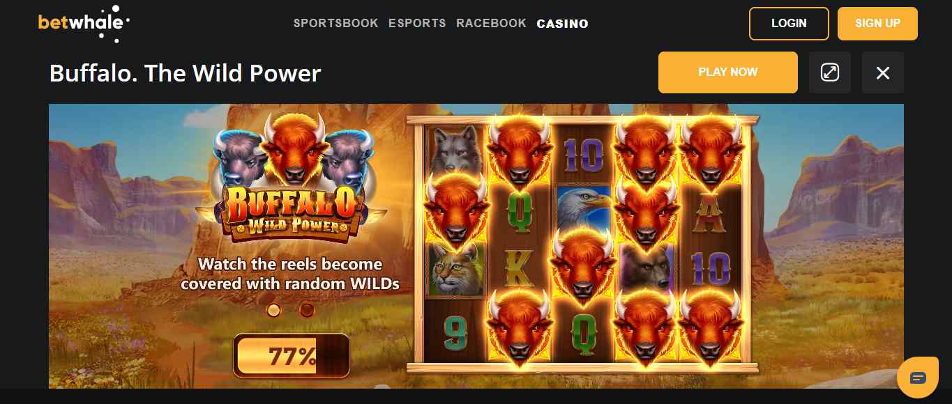 buffalo wild power- mejor casino online usa