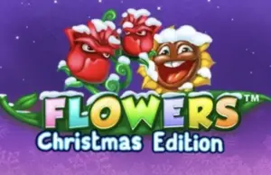 Flowers Christmas Edition – Peliarvostelu, bonukset & ilmaiskierrokset