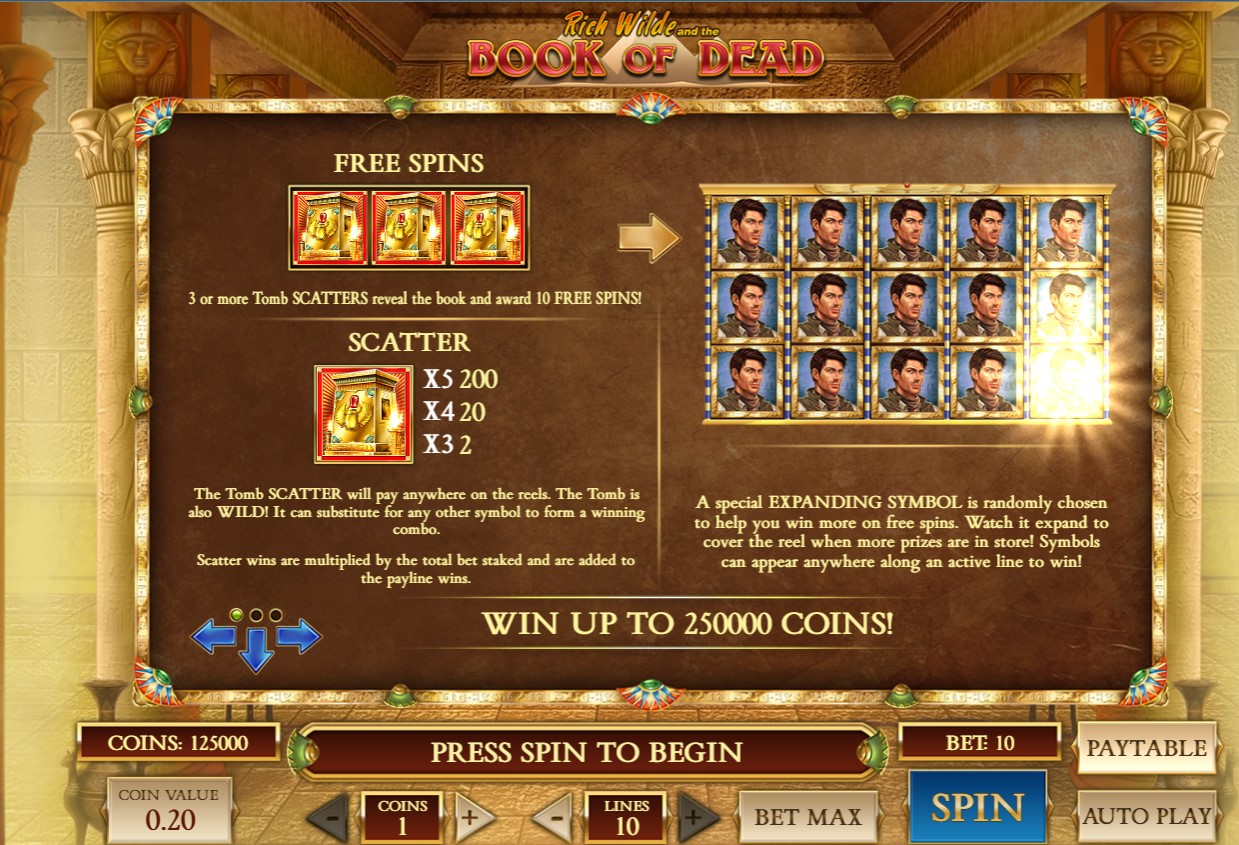 Book of Dead casino