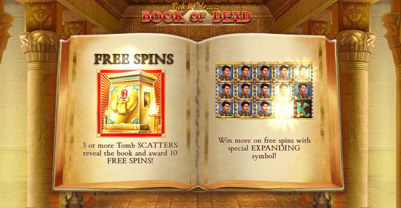 Book of Dead - free spins
