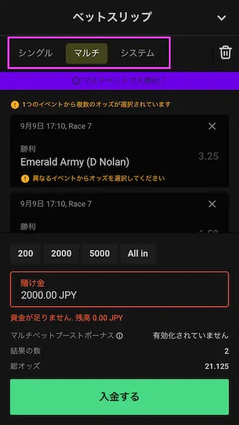 ブックメーカー 競馬 賭け方