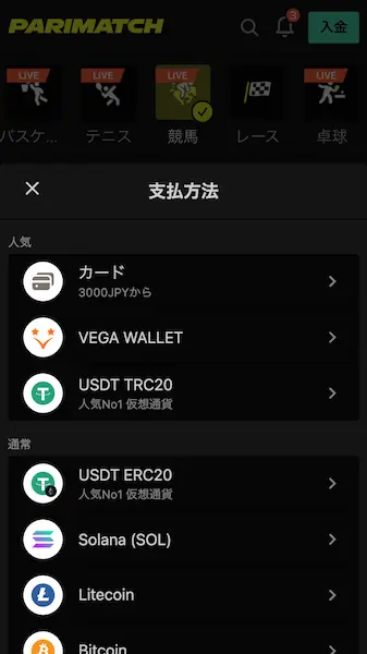 ブックメーカー 海外競馬 やり方