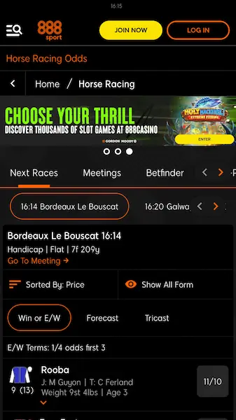 ブックメーカー 競馬 オッズ