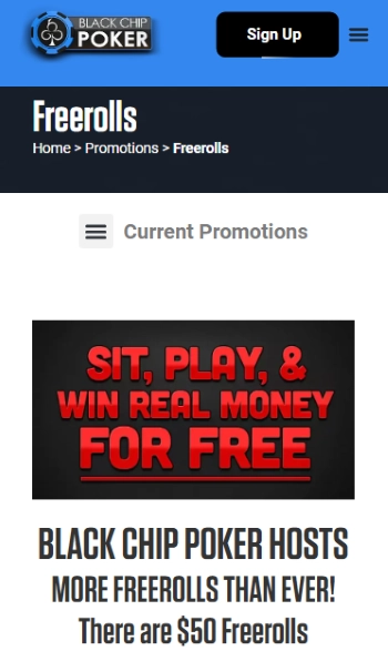 ブラックチップポーカー フリーロール