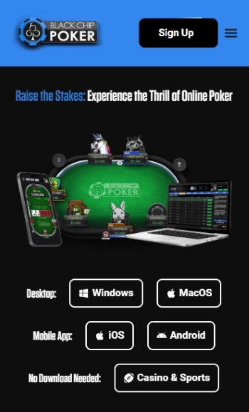 ブラックチップポーカー アプリ
