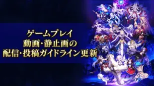 Fate/Grand Orderの改定ガイドラインの画像