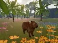 カピバラシ ミュレーター