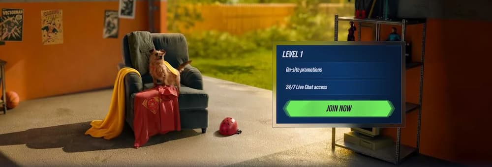 VIP/Loyalty Programs