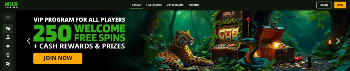 Veiligste speelomgeving 🡪 Wild Casino