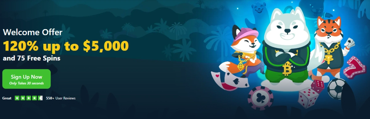 Snelle uitbetalingen 🡪 Wild.io