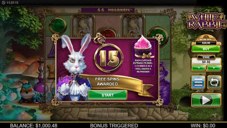 Bonus features en Free spins 4.95