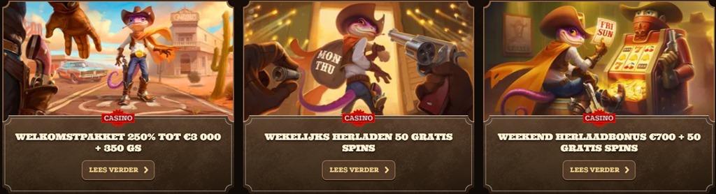 Bonussen bij een Pay n Play casino