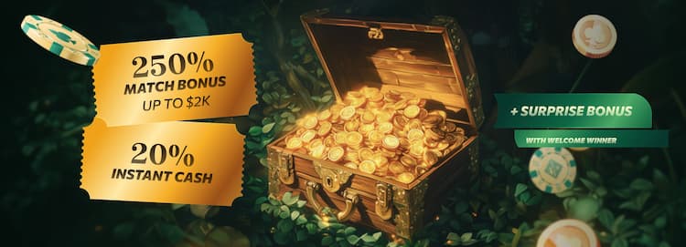 Hoe werkt een online poker bonus?