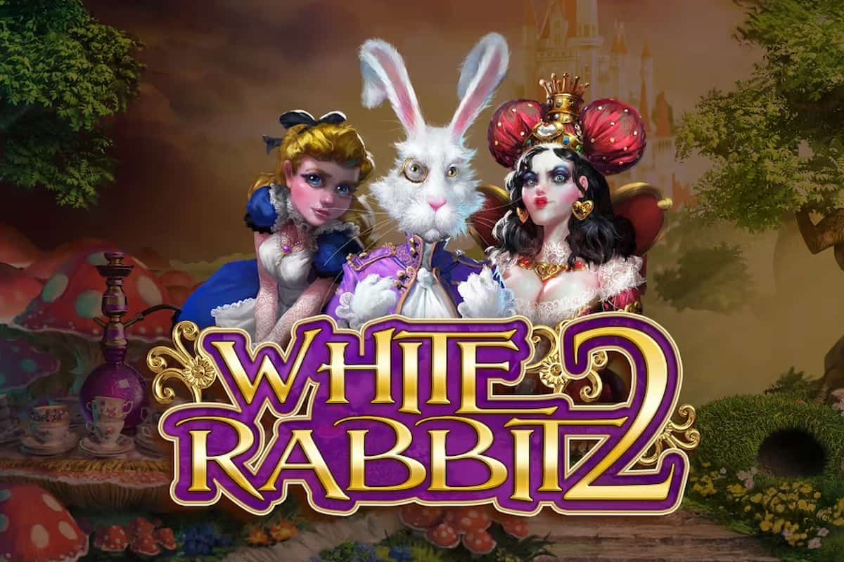white-rabbit-Review