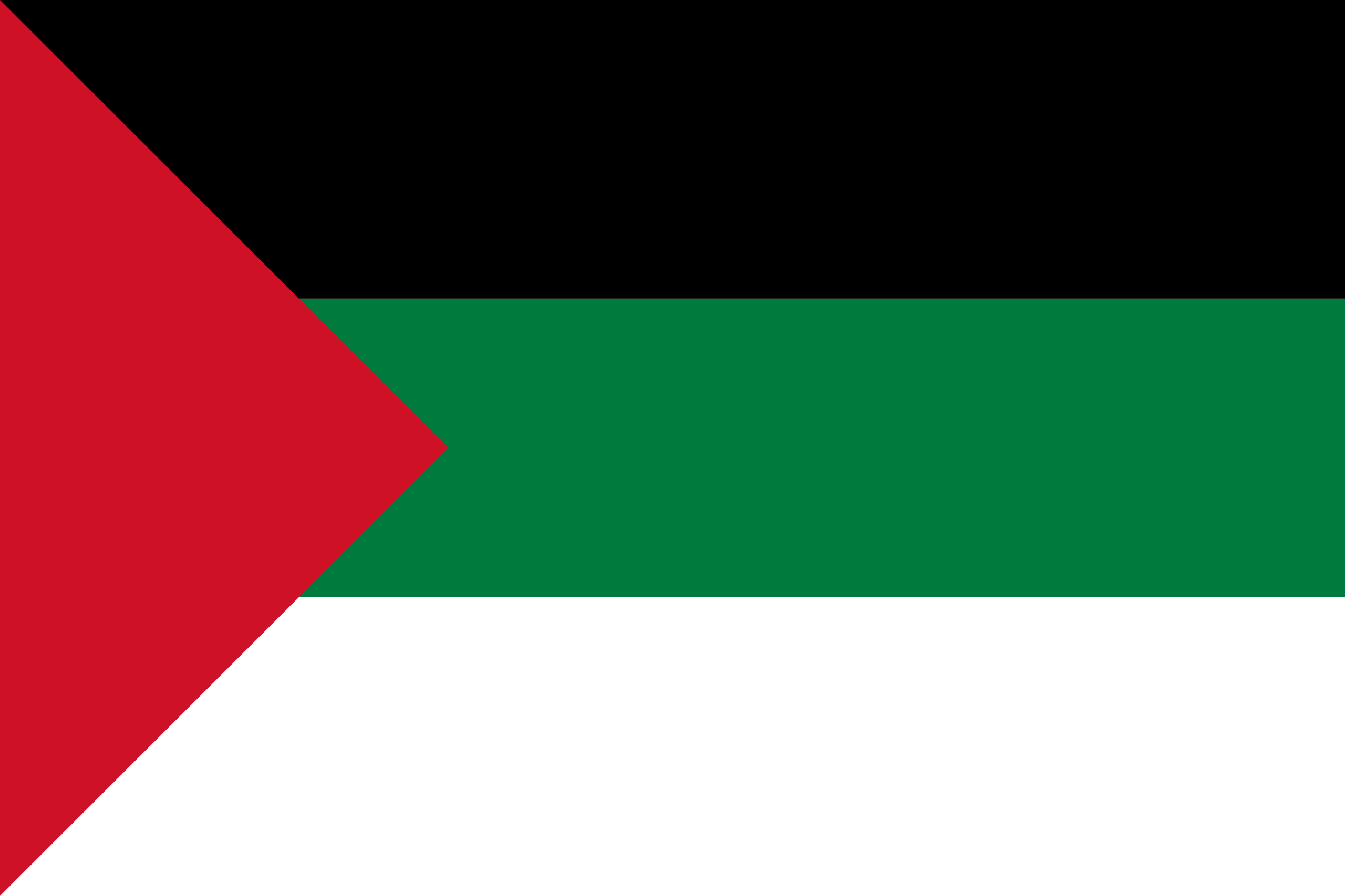 Arabic Flag
