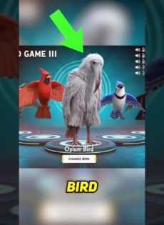 Apesar do título sugerir, não existe jogo. Ainda assim, inspira a comunidade com a ilusão de que há um jogo secreto com pássaros guerreiros.