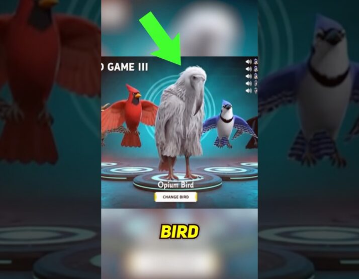 Apesar do título sugerir, não existe jogo. Ainda assim, inspira a comunidade com a ilusão de que há um jogo secreto com pássaros guerreiros.