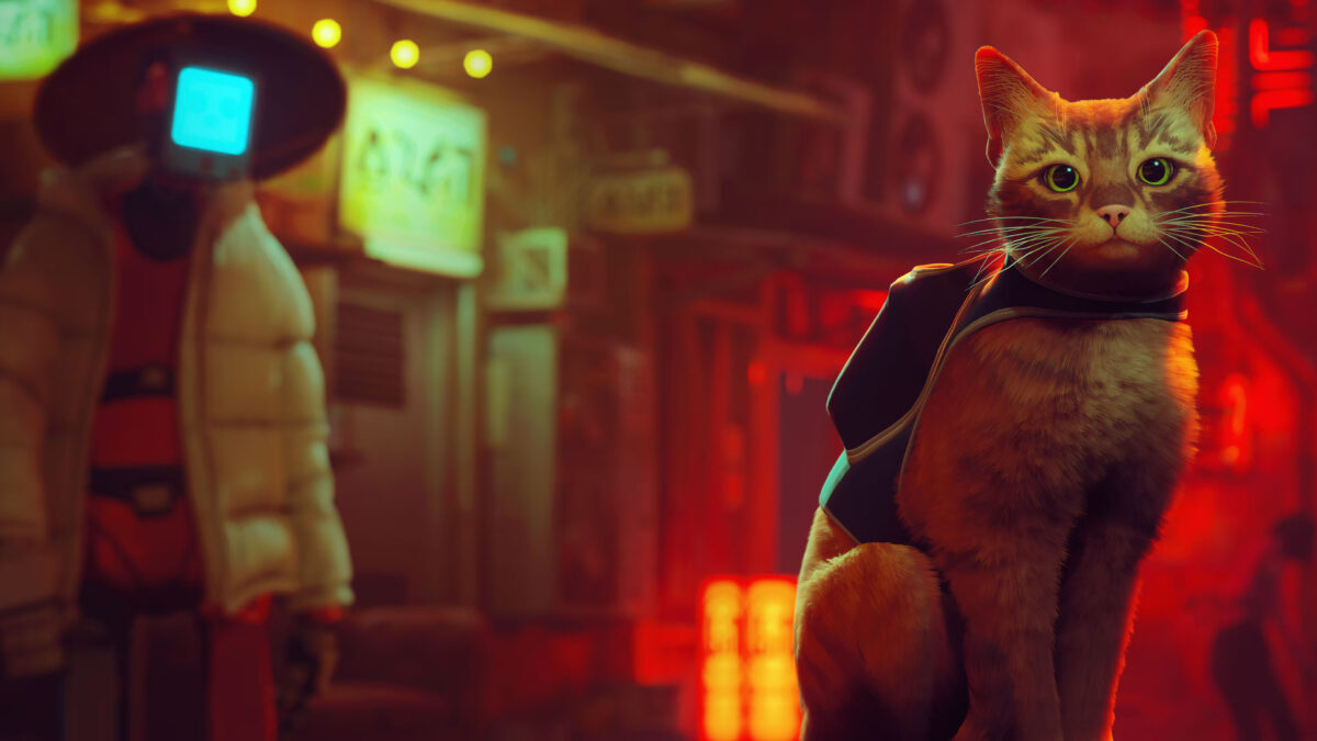 Por que você não deveria perder a chance de adicionar Stray à biblioteca Playstation até o dia 1º