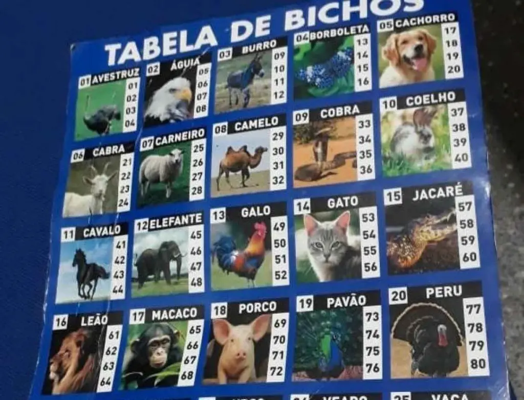 cassinos jogo do bicho