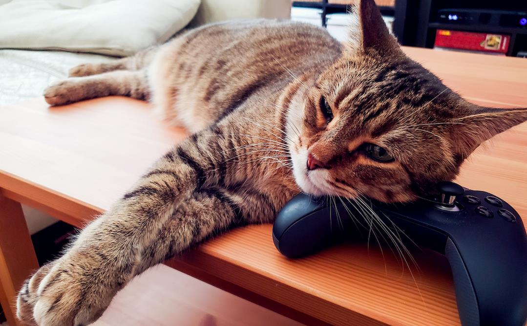 Is violence against virtual animals an ethical issue?