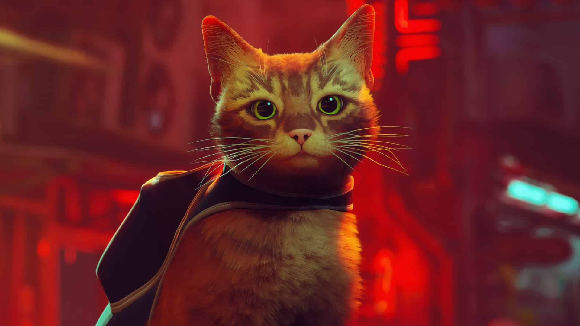 Stray Review – So Exquisitely, Believably Cat-like