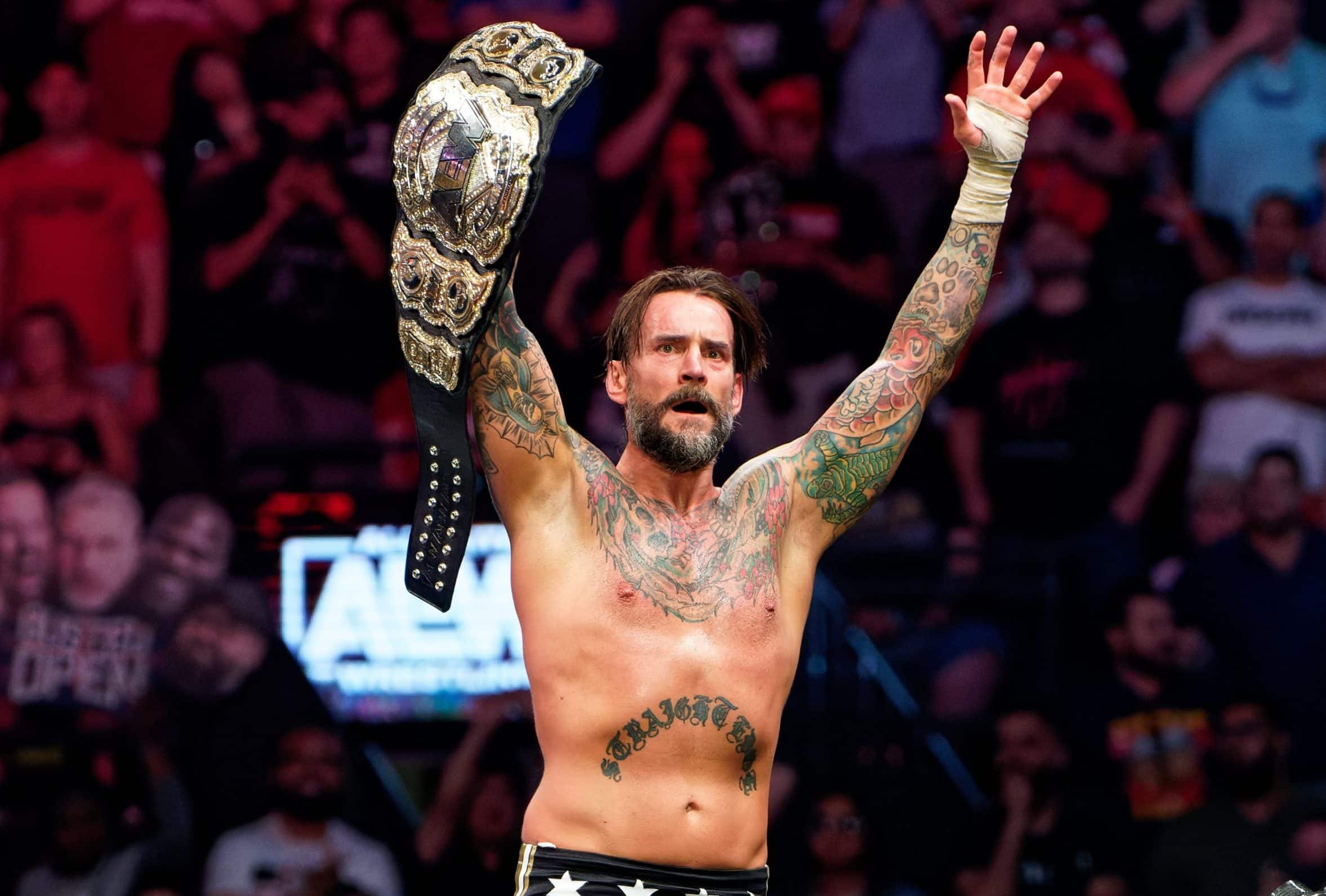 CM Punk removed from cover of AEW: Fight Forever