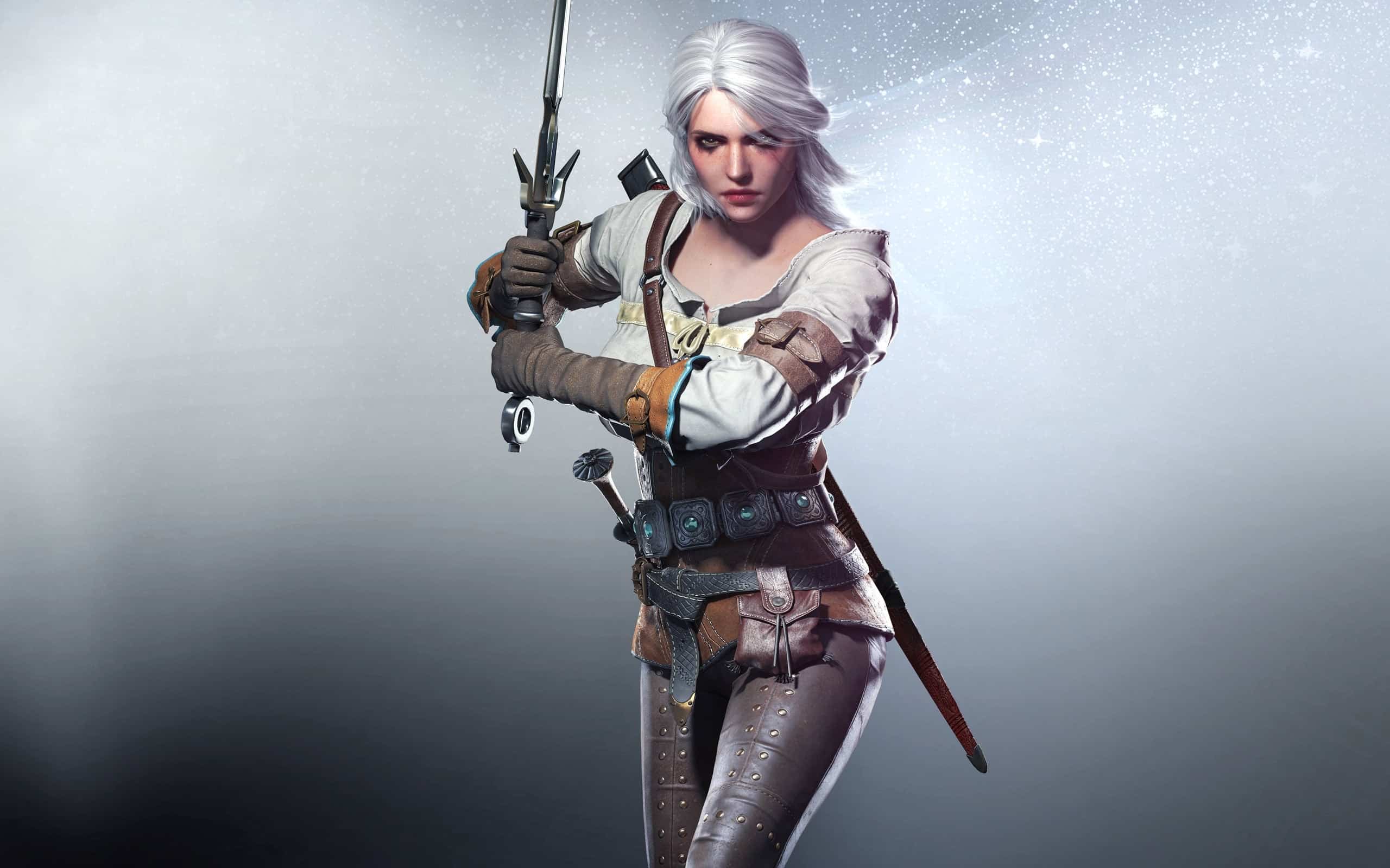 the witcher 4
