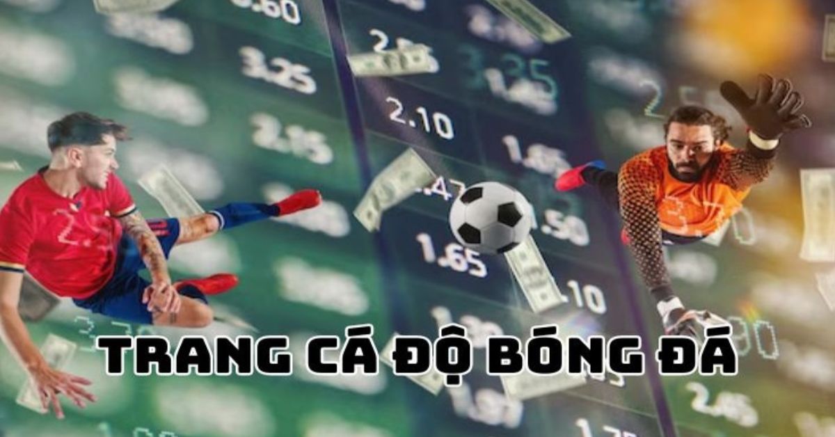 Trang cá độ bóng đá – Dấu hiệu nhận biết trang uy tín và tips cược hay từ cao thủ