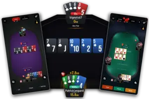 image-1-300x200