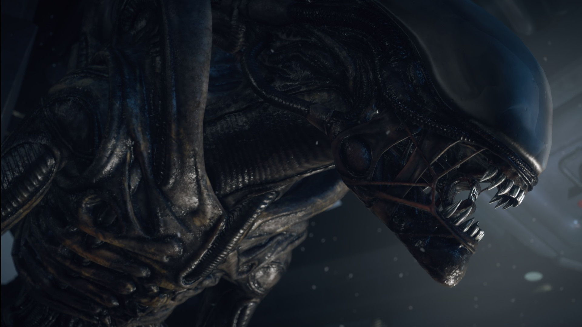 Prepare for more facehugging as Alien: Isolation 2 is all but confirmed by new teaser