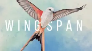 wingspan-3-300x169