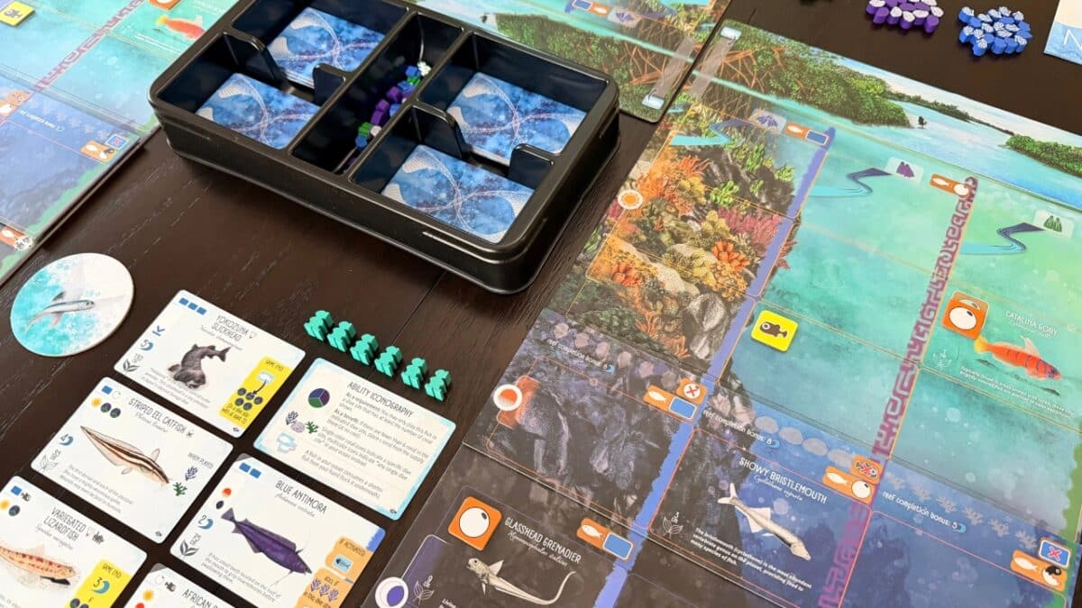 finspan sharks and reefs review 3