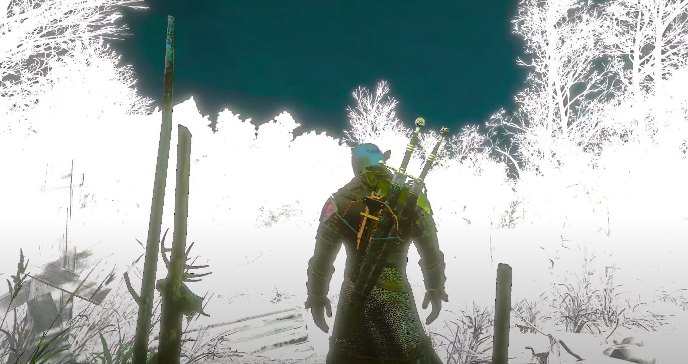 The Witcher Celebrates 10 Year Anniversary - The Witcher 3: Wild
