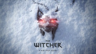 the witcher game cd projekt red