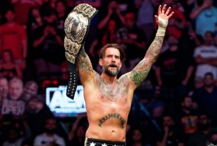 aew fight forever game cm punk