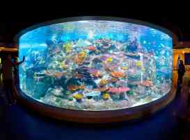 aquarium MIGW Gamer's Guide to Melbourne