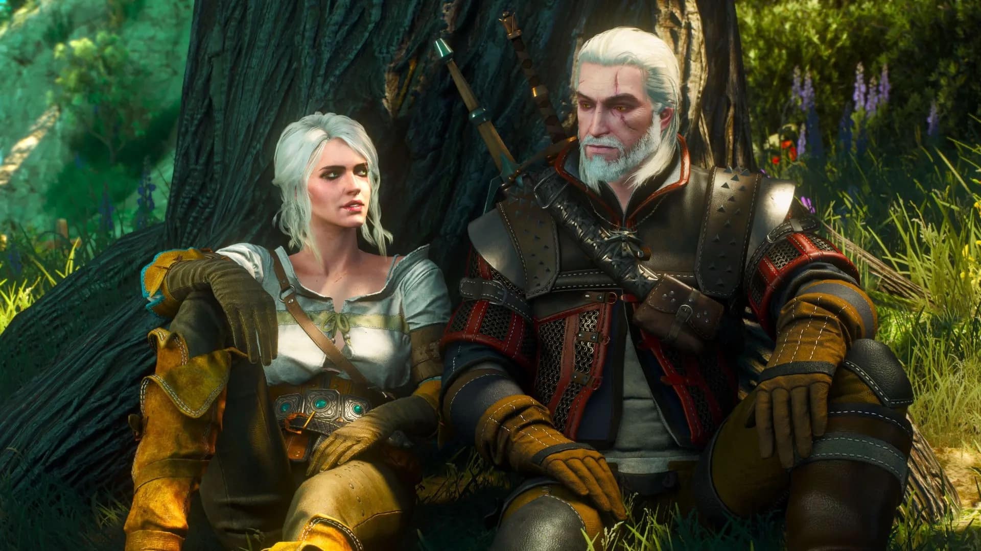 The Witcher Texture Mod 1080p HD 