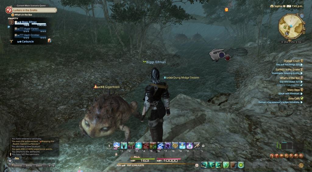  Final Fantasy XIV - PC : Video Games