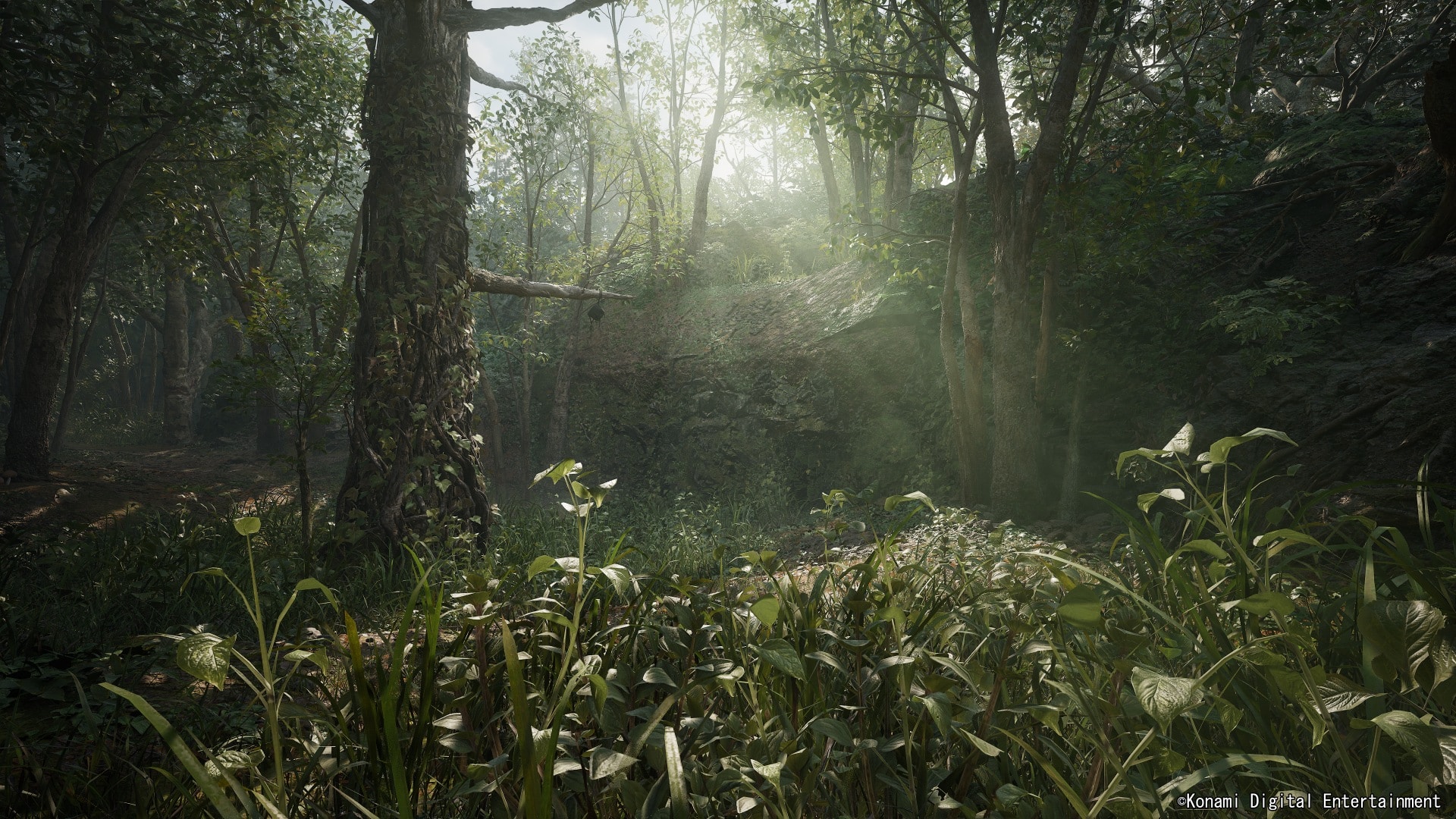 La versione di Snake Eater è “Metal Gear Solid Delta” La versione di Snake Eater è “Metal Gear Solid Delta”