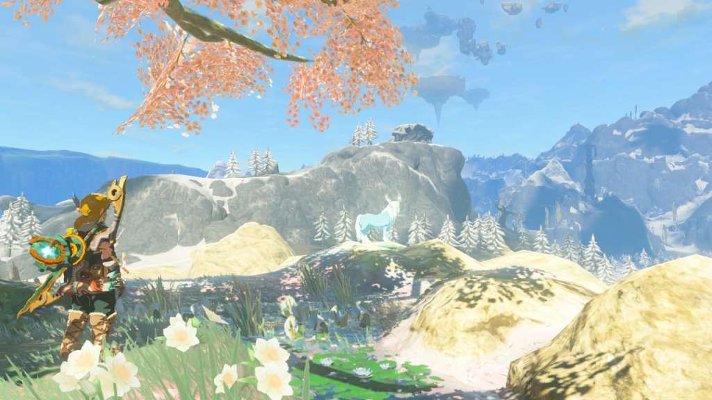 The Legend of Zelda: Tears of the Kingdom - Review screenshot - Nintendo Switch 