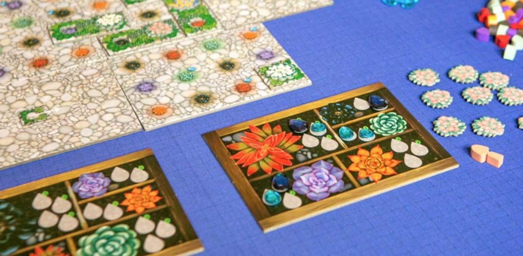 succulent cosy board game