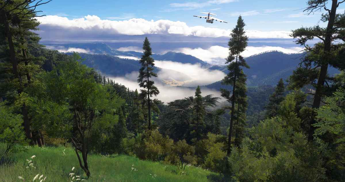 Microsoft Flight Simulator 2024
