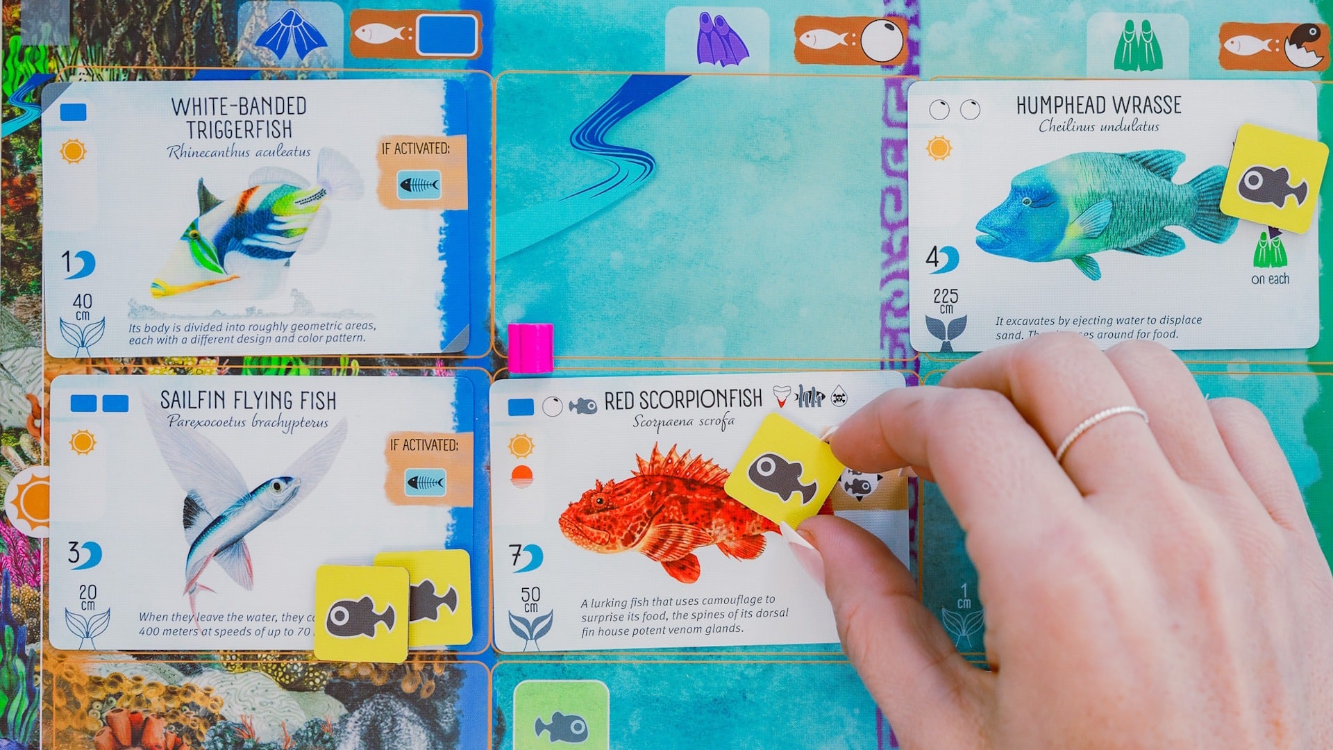 23 big upcoming board games releasing in 2025